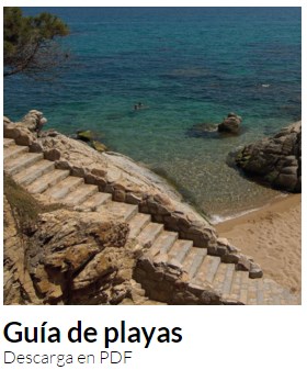 guia de playas platja aro es